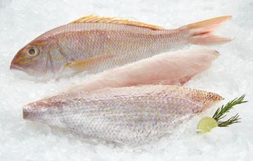 [Fresh] Fresh NT Goldband Snapper portions 300-350g