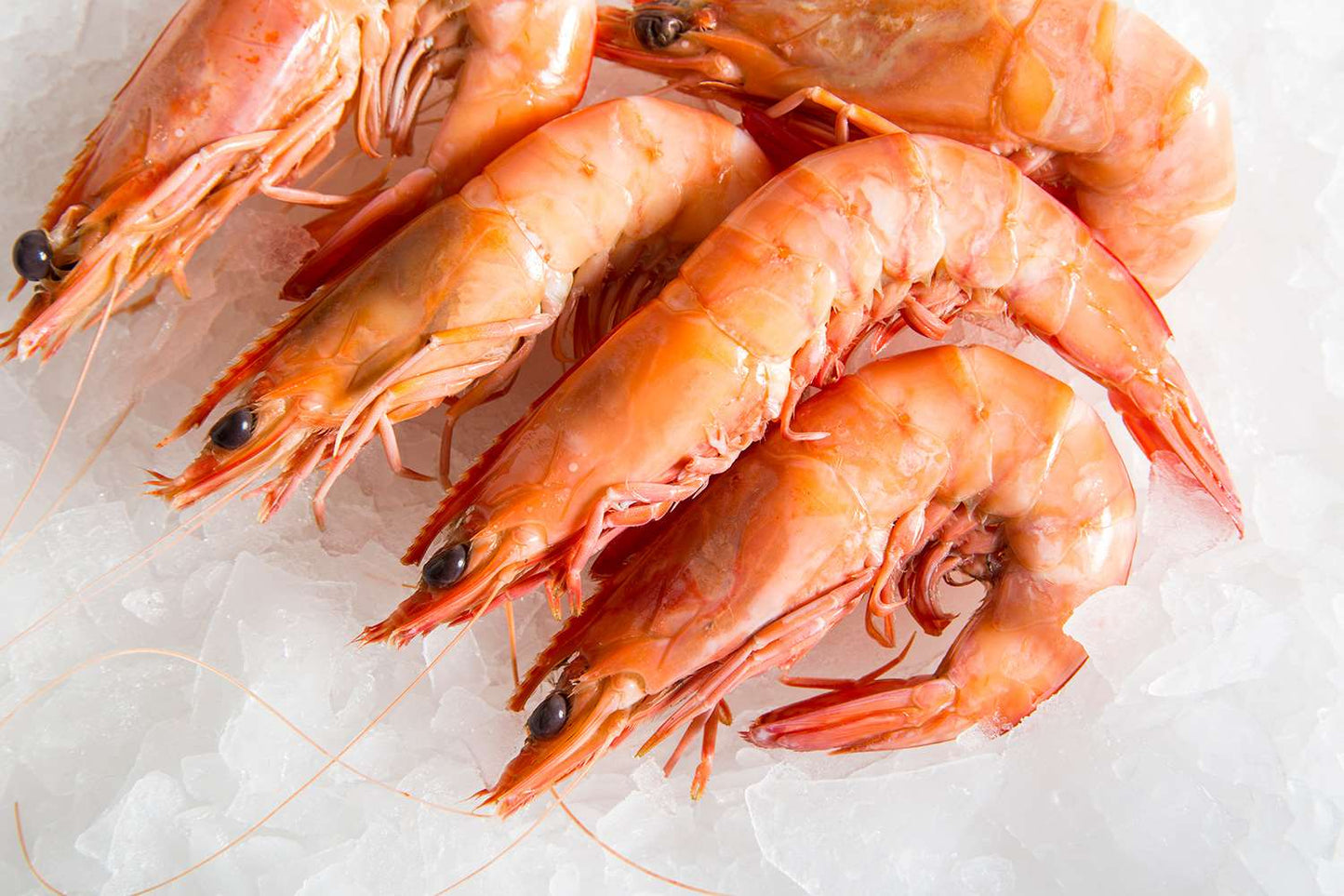 [Rready to Eat] Extra Large Cooked Prawns