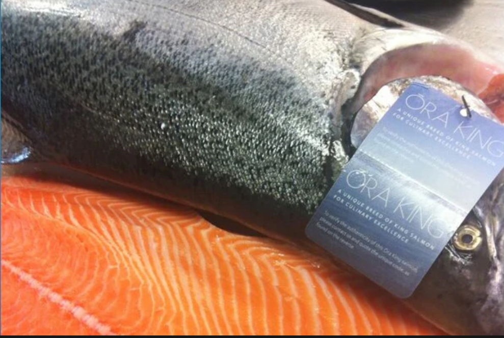 [Fresh] Ora King Salmon 400g